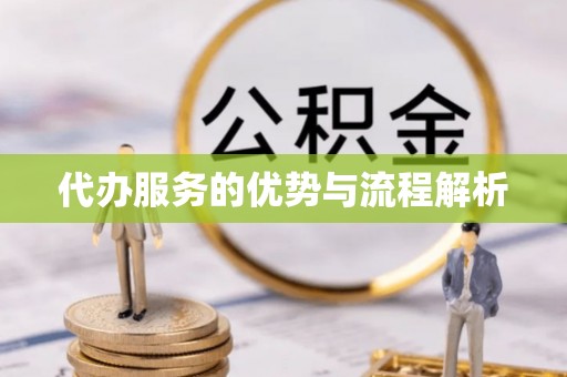 吉安代办服务的优势与流程解析