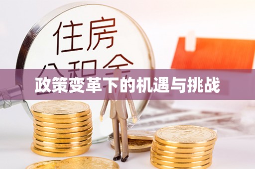 吉安政策变革下的机遇与挑战