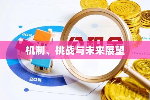 吉安机制、挑战与未来展望